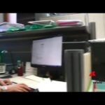 Autorizzata da Aifa rimborsabilità exa – cel, prima terapia genica per Tdt e Scd dai 12 ai 35 anni