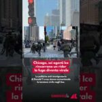Chicago, sei agenti Ice inseguono un rider: il video della fuga diventa virale