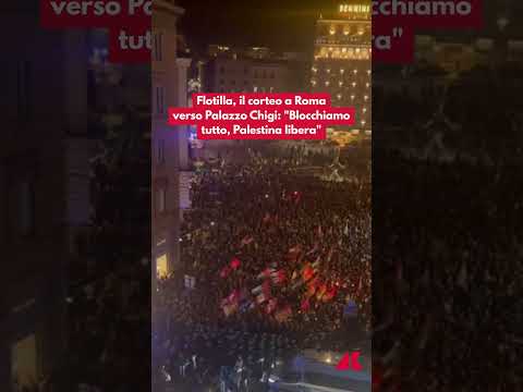 Flotilla, il corteo a Roma verso Palazzo Chigi: “Blocchiamo tutto, Palestina libera”