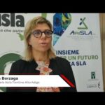 Malattie rare, Borzaga: “L’ascolto è la prima forma di cura”