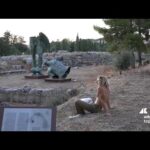 Mostre: Collezionisti e appassionati di Mitoraj: ”Evento unico grazie ai luoghi così speciali”