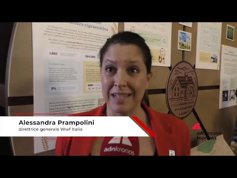 Mulino Bianco: Prampolini (Wwf), ‘insieme a Barilla per agricoltura rigenerativa
