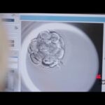 Natalità: Ivi, ‘inaugurata a Roma la clinica Pma più tecnologica d’Italia’