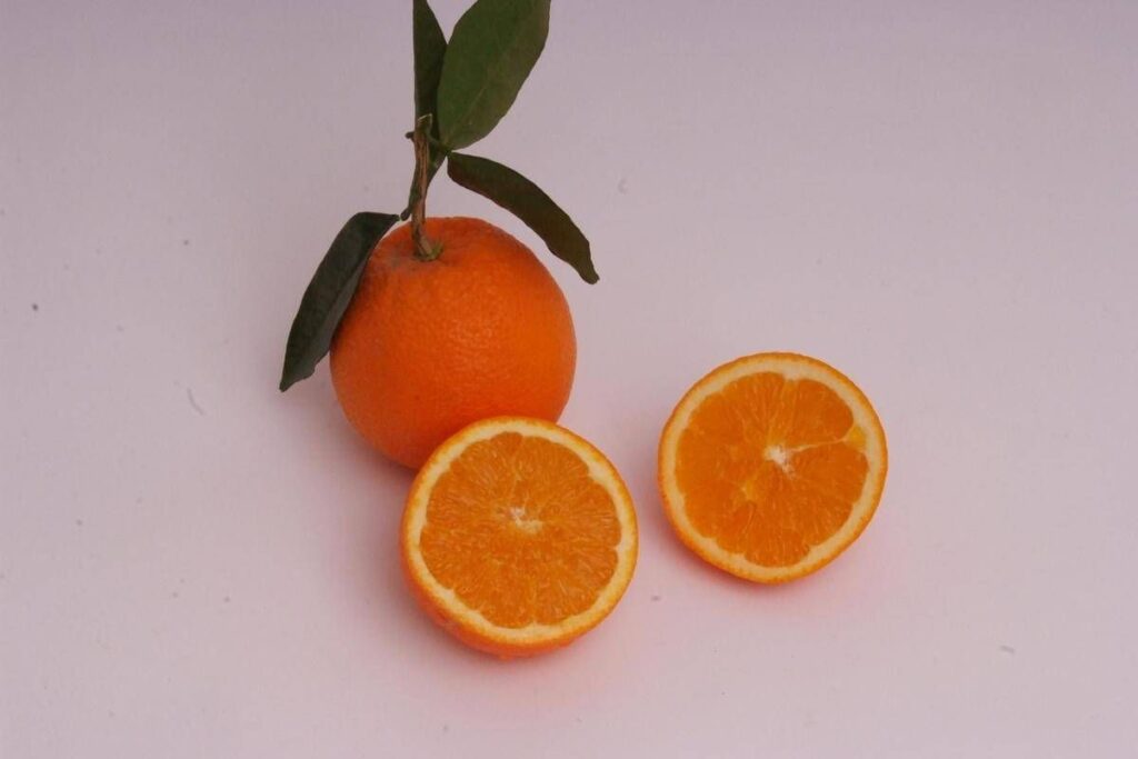 Arance e vitamina C, Bassetti boccia la spremuta: “Meglio mangiarle a spicchi”