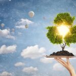 Rifiuti nei parchi urbani, quattro ogni metro quadrato