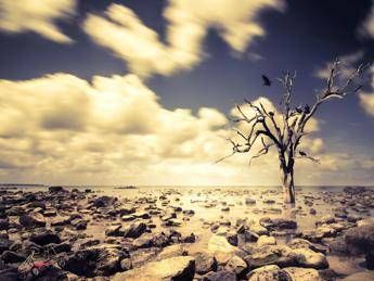 Luglio 2025 è il terzo più caldo, stop a serie record