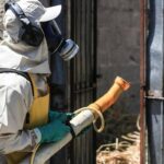 Dengue, un caso nel Comune di Colle Val d’Elsa nel Senese: scatta la disinfestazione