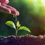 Spighe Verdi 2025, assegnate a 90 località rurali