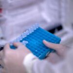 Scoperto il virus gigante Ushikuvirus, lo studio: “Può darci indizi su origine della vita”