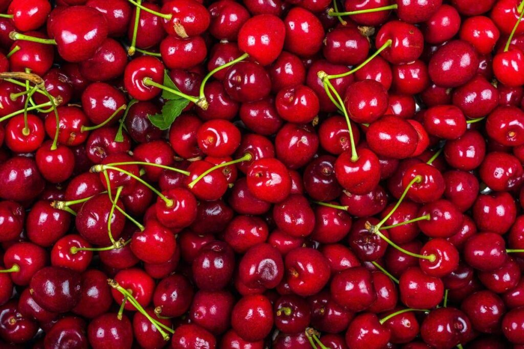 La ciliegia e le qualità ‘nascoste’, Calabrese: “Anche il gambo fa bene”