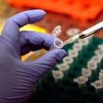 Cancro alla prostata, Dna potrebbe svelare rischio basso o alto: lo studio