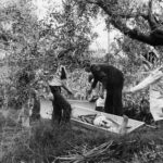 Mostro di Firenze, l’esperto Brogioni: “Forse non era un uomo solo, ma un ‘qualcosa’”