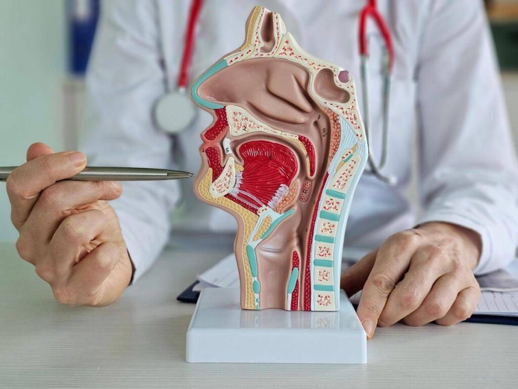 Tumore corde vocali, trovata la ‘scintilla’ che lo rende aggressivo e invasivo