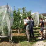 Bonus agricoltori, al via da oggi le domande: a chi spetta e come funziona