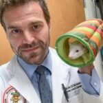 Estate, animali esotici da soli a casa? Il veterinario: “Non più di 24 ore”