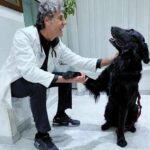 Nelle case degli italiani 8 milioni di cani, compagni ma anche un po’ medici