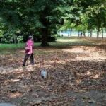 Arriva l’autunno, cos’è l’equinozio e quando cade