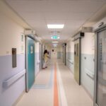 Candida auris, studio svela possibile tallone d’achille del fungo killer che spaventa ospedali