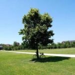 Estate piena nel weekend poi arriva l’autunno con forti temporali