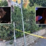 Femminicidio Petrangeli, testimone in aula: “Manuela disse ‘questo mi registra, è matto…'”