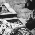Genocidio, cosa significa: origine e storia del termine