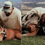 Hamilton, è morto il cane Roscoe: “La decisione più difficile della mia vita”