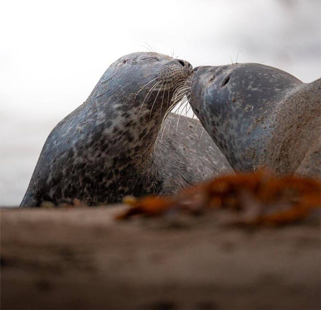 Oppo Reno14: l’AI rivoluziona la fotografia mobile