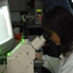 Sclerosi multipla, nuovi criteri per diagnosi più rapide e precise