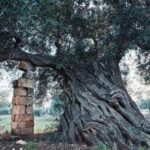 Uli Weber, nel libro ‘Il mezzogiorno’ un omaggio al Sud Italia