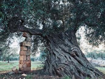 Uli Weber, nel libro ‘Il mezzogiorno’ un omaggio al Sud Italia