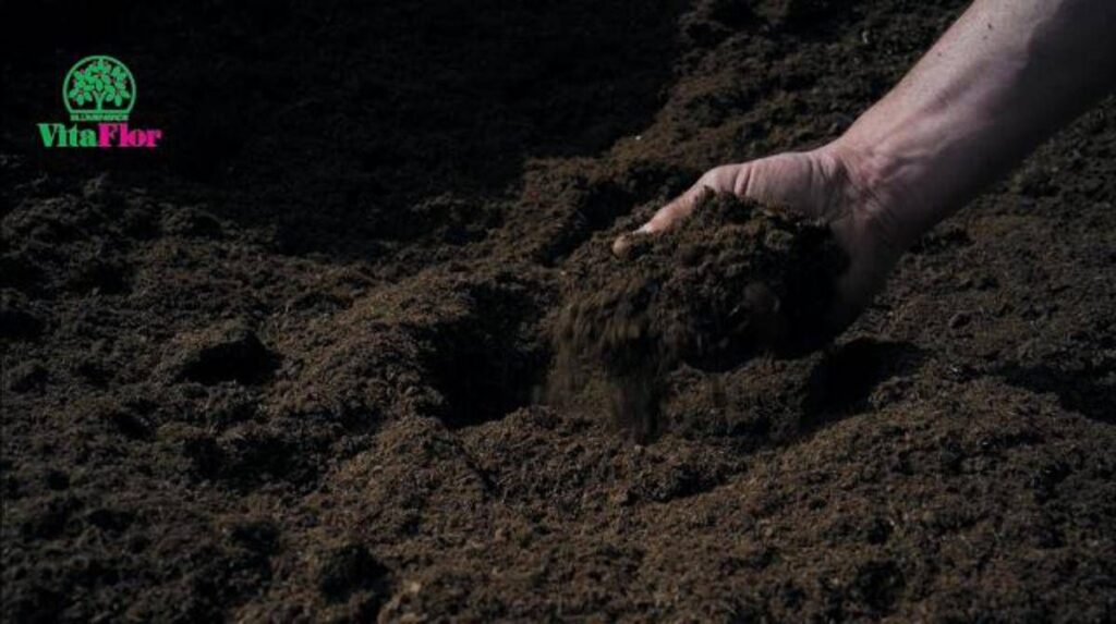 COMUNICATO STAMPA SPONSORIZZATO – Vitaflor presenta “4 Life”, la nuova generazione di terricci sostenibili per orto, giardino e coltivazioni professionali