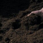 COMUNICATO STAMPA SPONSORIZZATO – Vitaflor presenta “4 Life”, la nuova generazione di terricci sostenibili per orto, giardino e coltivazioni professionali