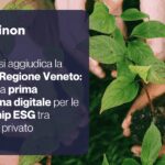 ChainOn vince gara Regione Veneto per piattaforma partnership Esg tra pubblico e privato
