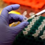 Creati per la prima volta embrioni da Dna pelle umana