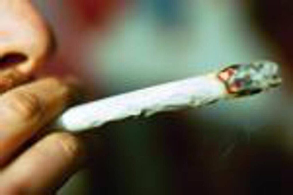 Droga, San Patrignano: “Primo step cannabis e binge drinking, poi si passa a quelle sintetiche”