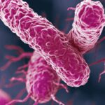 Farmaci, dall’Italia un anticorpo contro il superbatterio Klebsiella pneumoniae