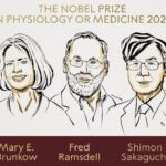 Nobel per la Medicina a Brunkow, Ramsdell e Sakaguchi per scoperte su sistema immunitario