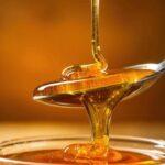 Non solo dolcezza: nel miele di acacia i microRna che ‘parlano’ al sistema immunitario