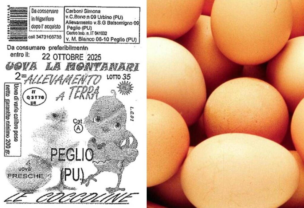 Uova ritirate dal mercato per rischio salmonella: il lotto