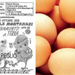 Uova ritirate dal mercato per rischio salmonella: il lotto