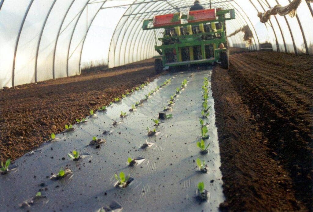 Agricoltura: telo Mater-Bi ammendante inorganico secondo Regolamento Ue