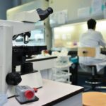 Alzheimer, ecco le cellule che possono ‘pulire’ il cervello: lo studio