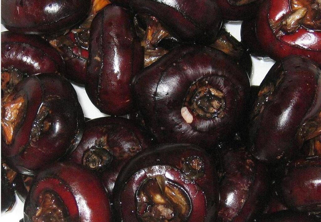 Castagne d’acqua, lo snack che protegge fegato e cervello: cosa sono e come si mangiano