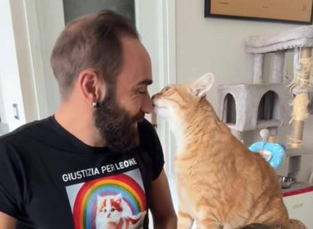 Come accarezzare i gatti, ecco la ‘ricetta’ infallibile per farsi amare