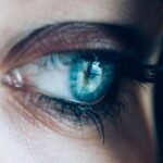 Iniezioni di cellule per rigenerare la cornea, oculisti: “Vicini a sconfiggere la cecità”