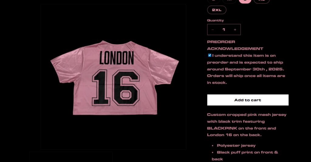 Kaspersky rileva truffe relative al merchandising BlackPink in occasione del loro tour mondiale