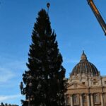 Piazza San Pietro, arriva il Natale: innalzato l’abete gigante da 27 metri