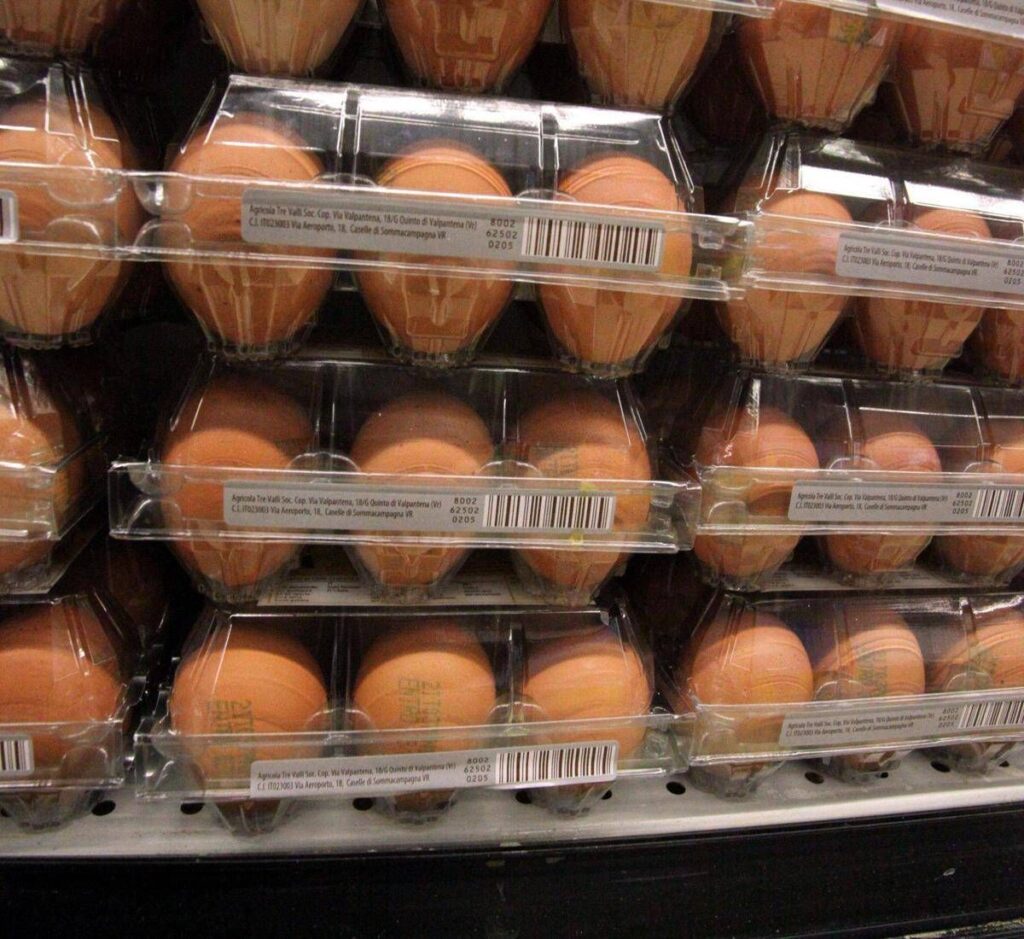 Quanti errori in cucina, dal frigo all’igiene: il decalogo dell’Iss per pasti sicuri