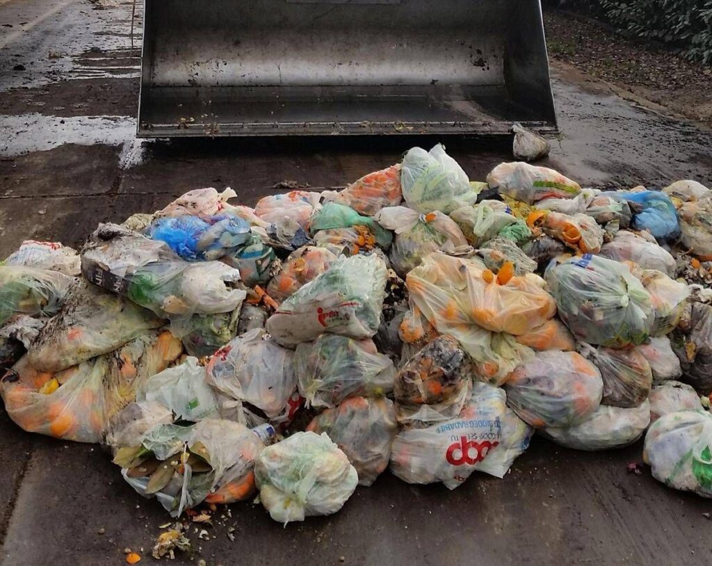 Rifiuti, Cic-Legambiente: alleanza strategica per potenziare il riciclo organico