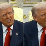 Trump, risposte di fuoco alle giornaliste su Epstein tra “zitta maialina” e “sei pessima”